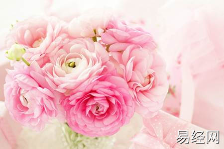 客厅养啥花好聚财_养什么花招财