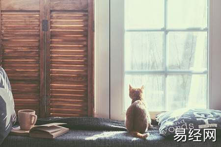 招财猫有哪些风水寓意_招财猫的摆放讲究