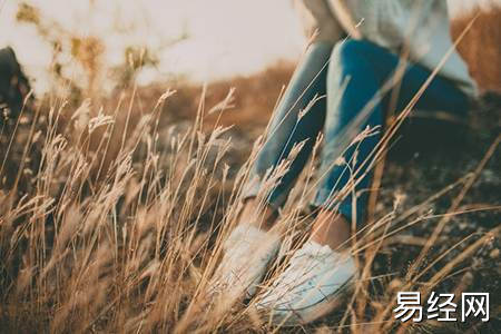 家中西北角放什么旺财