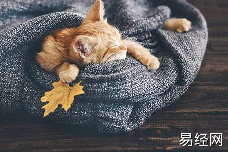 漏财的房屋怎么处理好_房子漏财如何化解