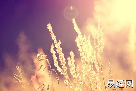 浴室方位风水禁忌,浴室风水讲究