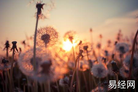 下葬时十大禁忌_下葬时必须遵守的禁忌