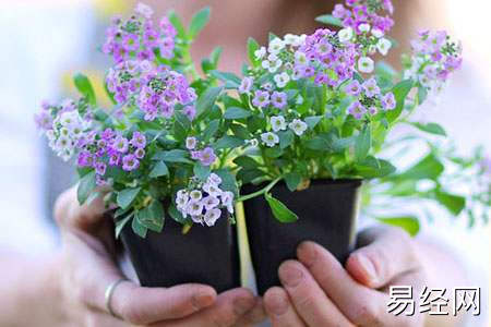 平原出大官的坟地风水_出大官的墓地风水