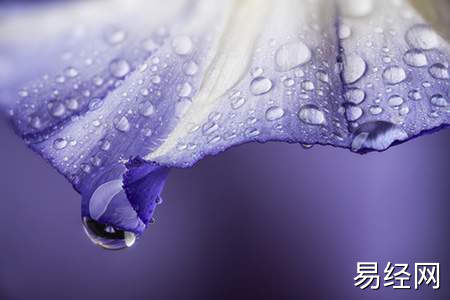 新房摆件十大吉祥物_新房的风水吉祥物