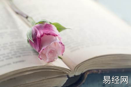 属狗人的风水吉祥物有哪些