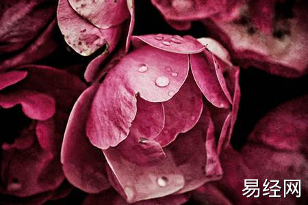 属猴人的风水吉祥物有哪些