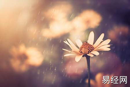 1980年属猴买房风水有哪些