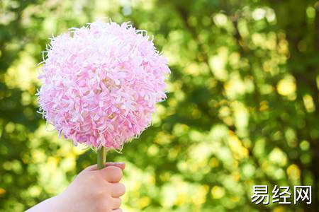 祖坟风水被破坏的后果有哪些