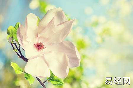 阳台上放什么东西旺家_阳台的风水物件