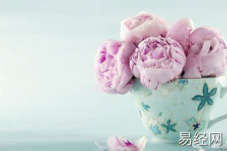 金桔在家中种植的风水禁忌有哪些