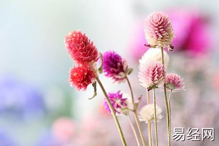 貔貅放在什么方位好_貔貅摆放讲究