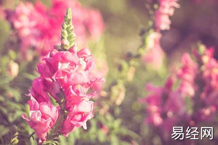 住酒店如何辟邪_住酒店的风水禁忌