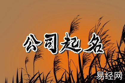 医药公司名字高端大气 吉祥好听的医药公司名字