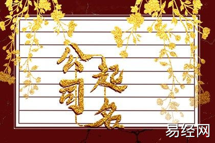 2024龙年新材料公司招财的名字