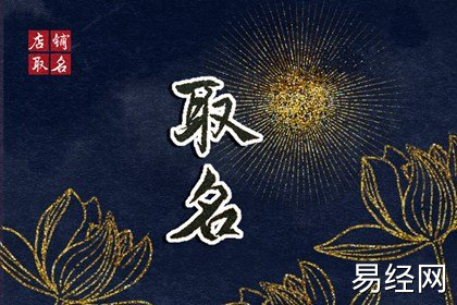 2024龙年最火的面馆名字