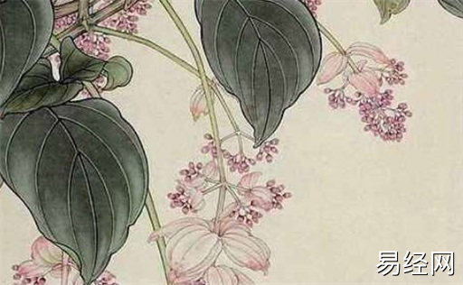 墻外桃花和墻內(nèi)桃花是什么意思 墻外桃花一定會(huì)出軌嗎