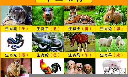 2025年生肖屬相年份年齡對照表查詢一覽表最新版-2025年的屬相