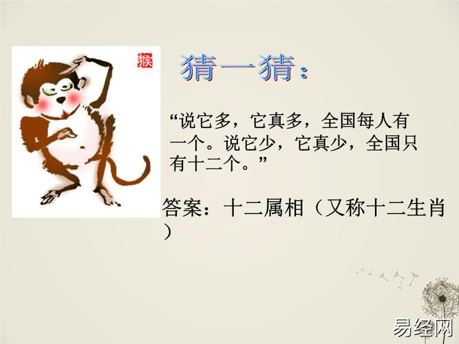 美术课十二生肖课件.ppt