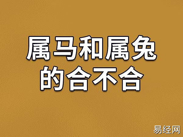 属马和属兔的合不合-属马和属兔相配吗_吉星堂