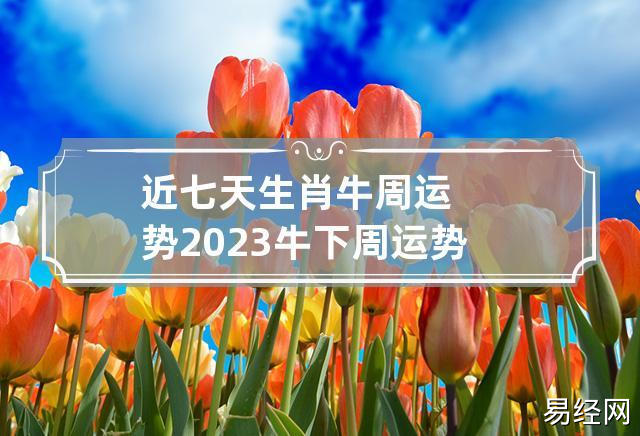 近七天生肖牛周运势2023 牛下周运势