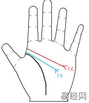 手相图解,手相图解智慧线,智慧线