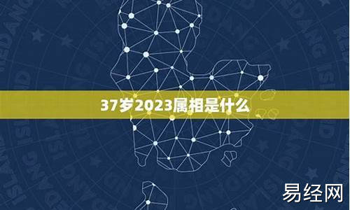 37岁属什么生肖属相2024最新消息-请问37岁属什么生肖