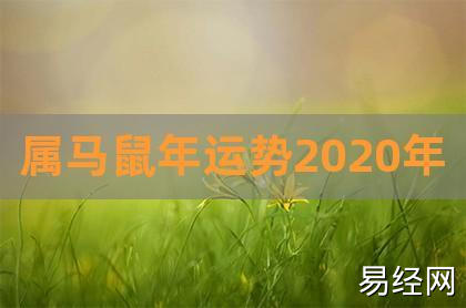 2023鼠年马的运势及运程,属马鼠年运势2023年