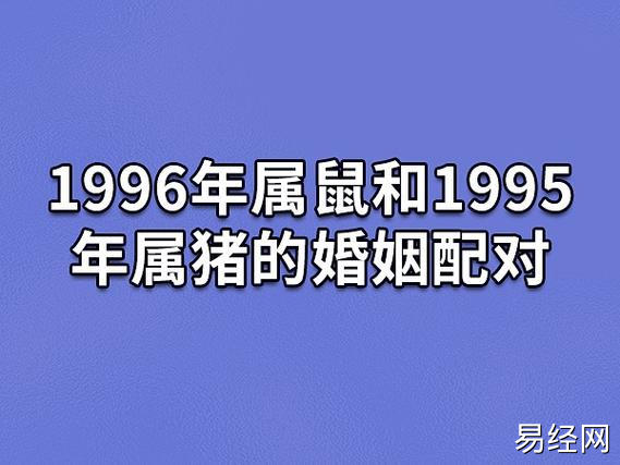 1996年属鼠和1995年属猪的婚姻配对:中吉婚配(互相包容)_吉星堂