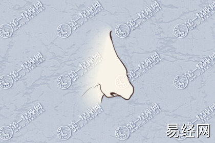 女人的哪些鼻子会旺夫 有什么特点 女人的哪些鼻子会旺夫 有什么特点