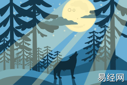 右脸长白毛命局分析运势