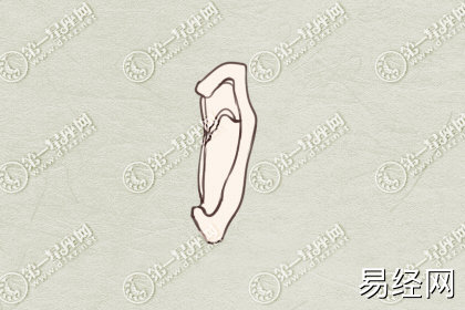 耳朵代表的命运 面相图解