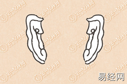 耳朵代表的命运 面相图解
