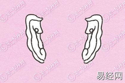 耳朵代表的命运 面相图解