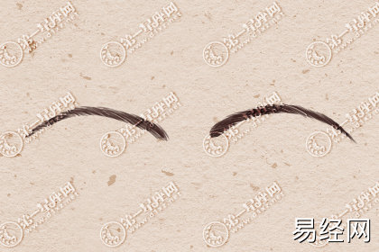 眉毛和财运有关系吗 有什么说法