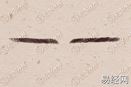 眉毛和财运有关系吗 有什么说法