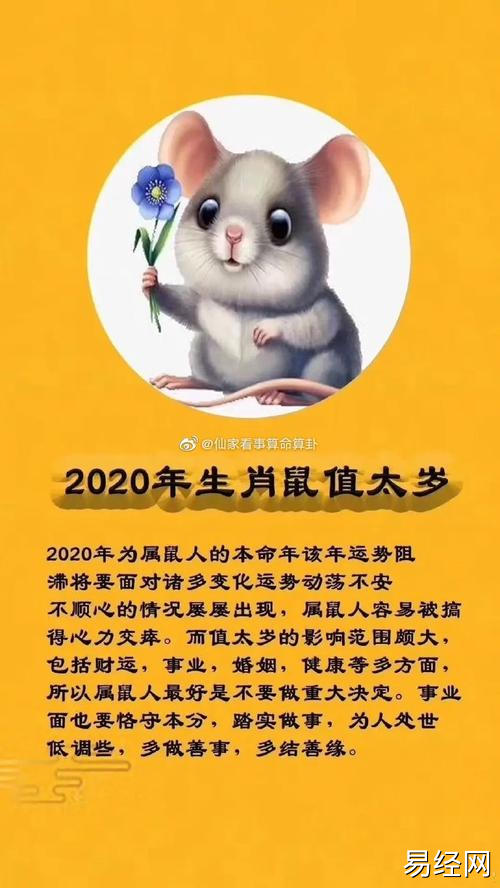 属鼠的2023年感情事业健康运势分析犯太岁本命年怎么样