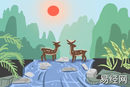 猫到底是招财还是来灾 有什么说法 猫到底是招财还是来灾 有什么说法