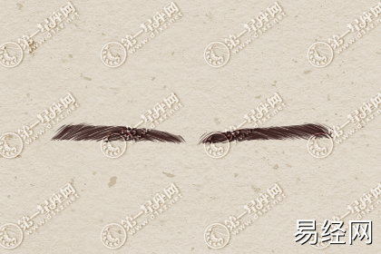 什么样的眉毛命好 有何说法