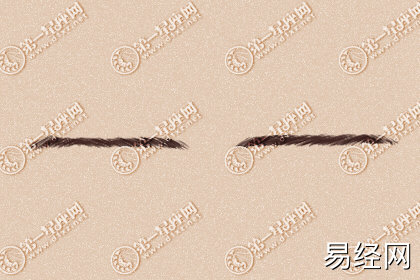 什么样的眉毛命好 有何说法