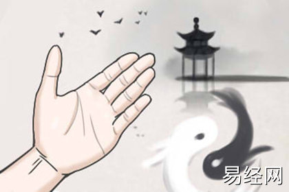 事业线停在了智慧线下 什么命运 事业线停在了智慧线下 什么命运