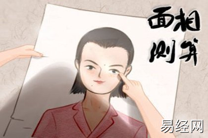 面相7 (2) 面相7 (2)