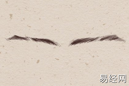 扫帚眉的男人面相分析 斤斤计较