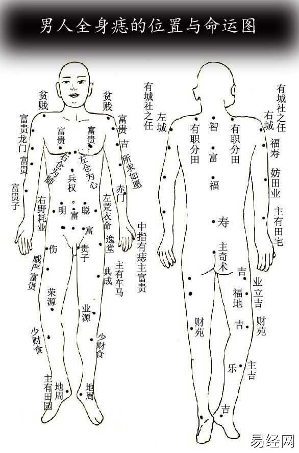 痣相图哪边是左右 痣相哪边是左,哪边是右