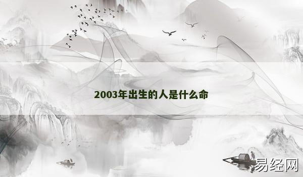 2003年出生的人是什么命