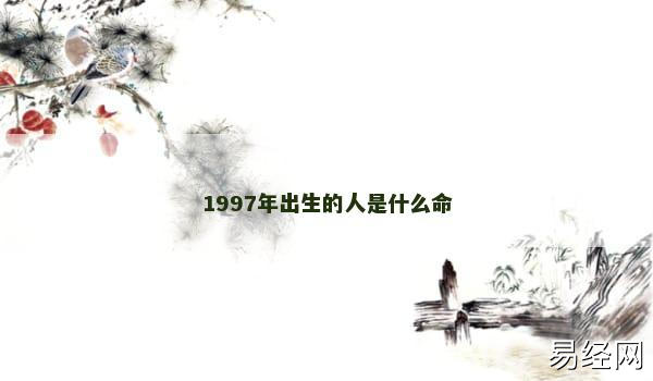 1997年出生的人是什么命