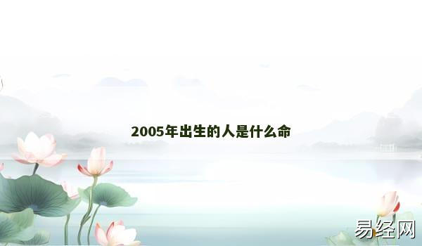 2005年出生的人是什么命