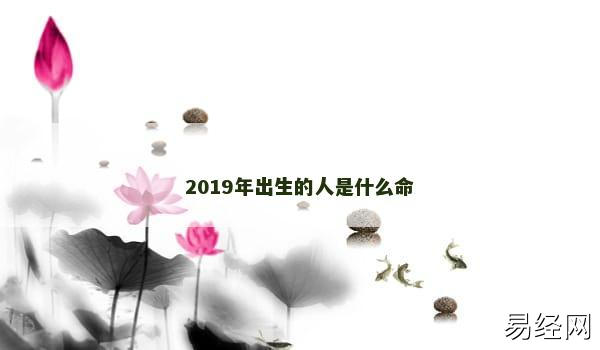 2019年出生的人是什么命