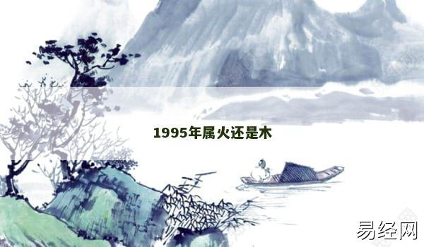 1995年属火还是木