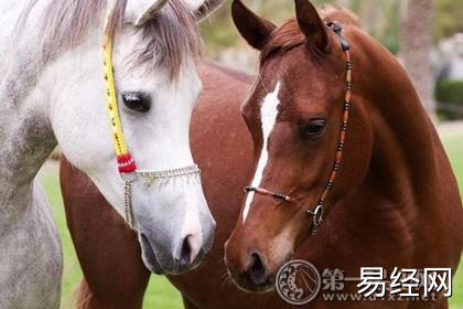 男女都属马能结婚吗,生肖马的结婚吉日