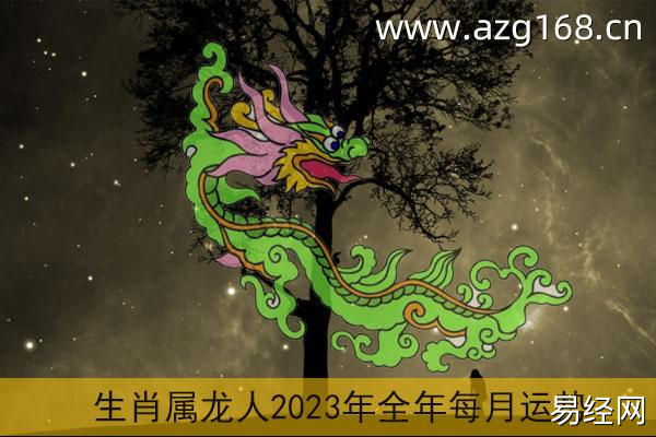 生肖属龙人2023年全年每月运势